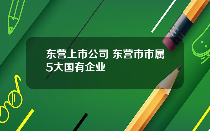 东营上市公司 东营市市属5大国有企业